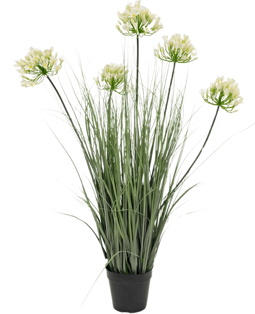 Le Gazon artificiel Agapanthus oignon blanc pot 90cm ignifuge est une plante artificielle en pot avec de hautes feuilles vertes et six bouquets de petites fleurs jaune clair sur de longues tiges, sur un fond uni blanc.