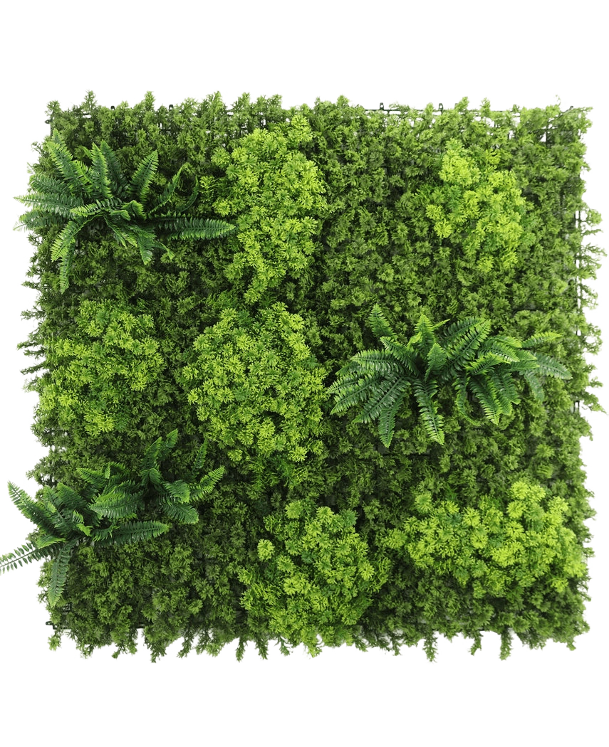 Le panneau UV Mousse de haie artificielle 100x100 cm présente un feuillage vert dense et varié et plusieurs grappes de feuilles ressemblant à des fougères sur fond blanc.