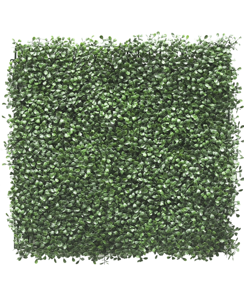 La haie artificielle Buis 50x50 cm UV possède des feuilles vertes artificielles densément compactées, créant une haie luxuriante ou un aspect jardin vertical, parfaite pour égayer n'importe quel espace.
