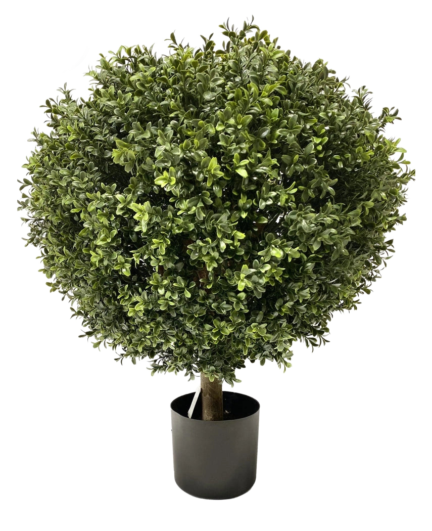 Le Buis Artificiel sur tige UV d60 cm est un topiaire artificiel dense et rond avec de petites feuilles vertes et une seule tige visible, soigneusement taillé en boule et placé dans un simple pot noir.