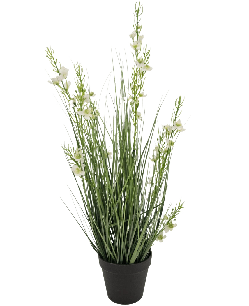 Le gazon artificiel millet oignon en pot 65 cm ignifuge présente des feuilles hautes et fines ressemblant à de l'herbe verte et plusieurs tiges avec de petites fleurs blanches dans un pot noir, sur un fond blanc uni.