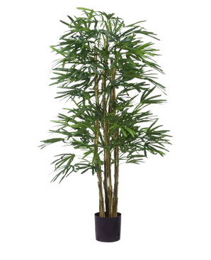 La plante artificielle ignifuge Lady Palm de 150 cm a de fines feuilles vertes et plusieurs fines tiges brunes dans un petit pot noir, sur un fond blanc uni.