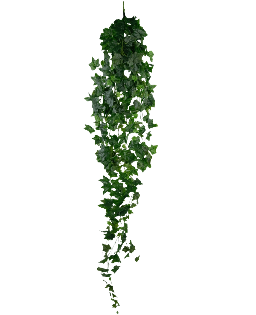Le Lierre Artificiel 180 cm vert est un lierre vert artificiel unique avec des feuilles denses et pointues qui pendent verticalement sur un fond blanc uni.
