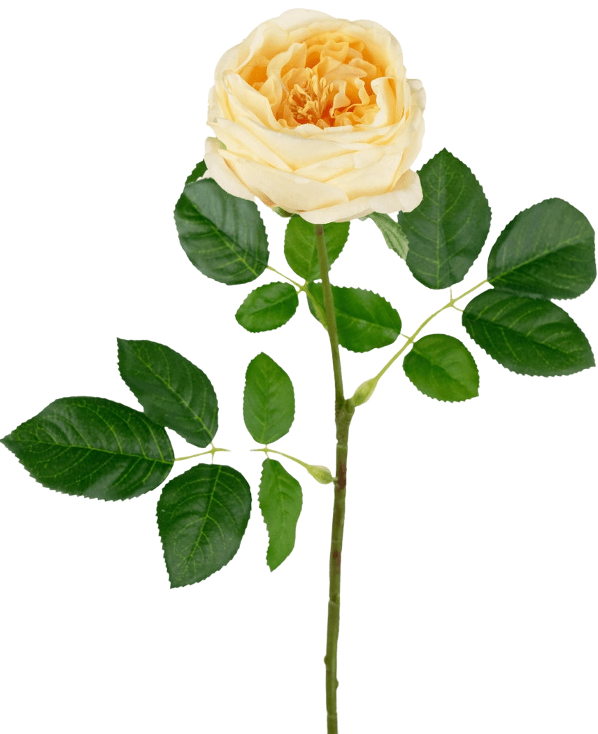 La Rose de Jardin Artificielle "Anniken" Real Touch jaune 72cm possède une seule rose jaune avec plusieurs feuilles vertes sur une longue tige, sur un fond blanc uni.