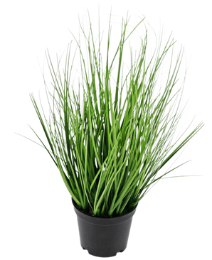 Le gazon artificiel Oignon 33 cm (ignifuge) a de longues feuilles fines ressemblant à de l'herbe verte dans un petit pot noir, sur un fond blanc uni.