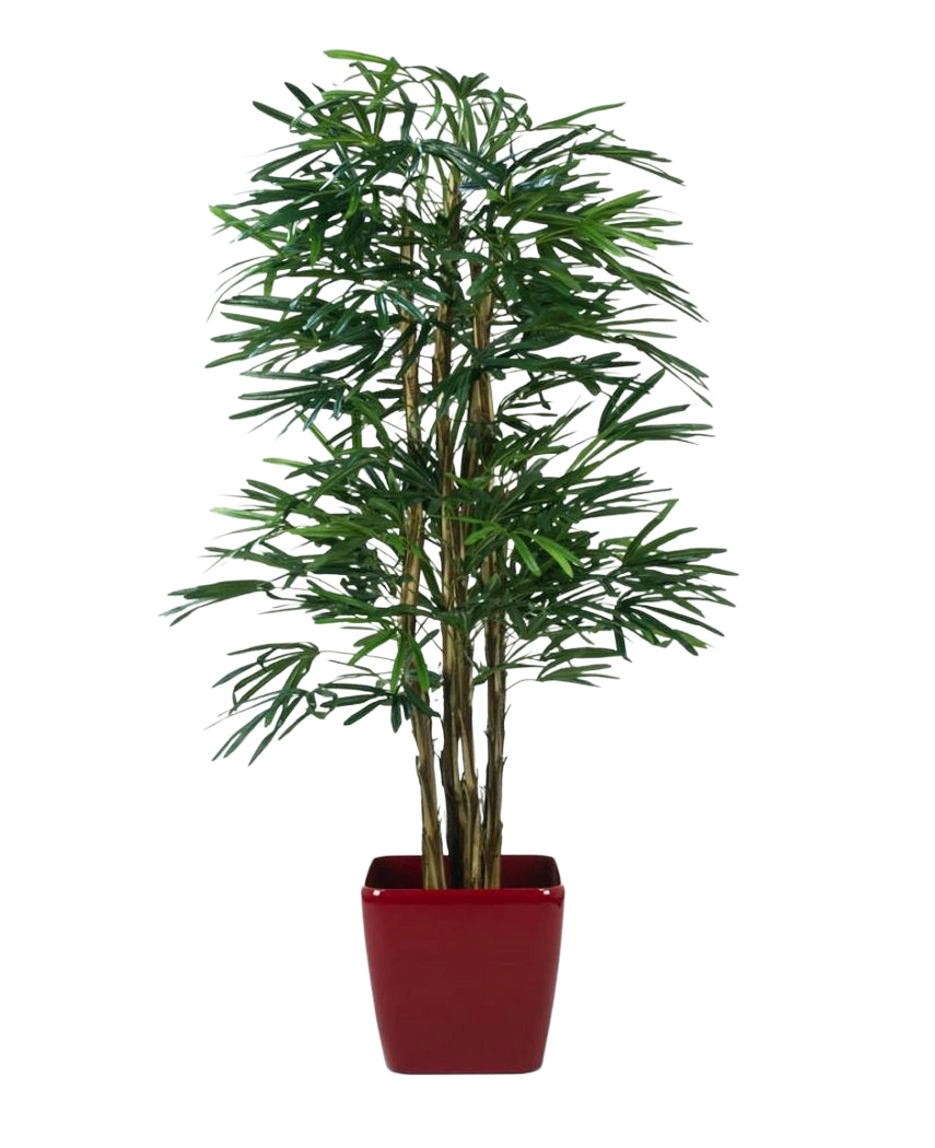 Lady Artificial Palm 210 cm, un palmier artificiel avec de fines feuilles vertes et plusieurs tiges fines, se dresse dans un pot carré rouge brillant sur un fond blanc uni.