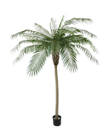 Le Palmier Artificiel Phoenix De Luxe 210 cm possède de longues feuilles vertes courbées et un tronc structuré, dans un petit pot noir sur un fond uni blanc.