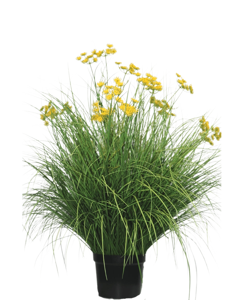 Le gazon artificiel Asteraceae 100 cm ignifuge possède des feuilles longues et étroites et des bouquets de fleurs jaune vif sur de hautes tiges. Cette plante sans entretien est magnifique dans n'importe quel intérieur sur un fond blanc.