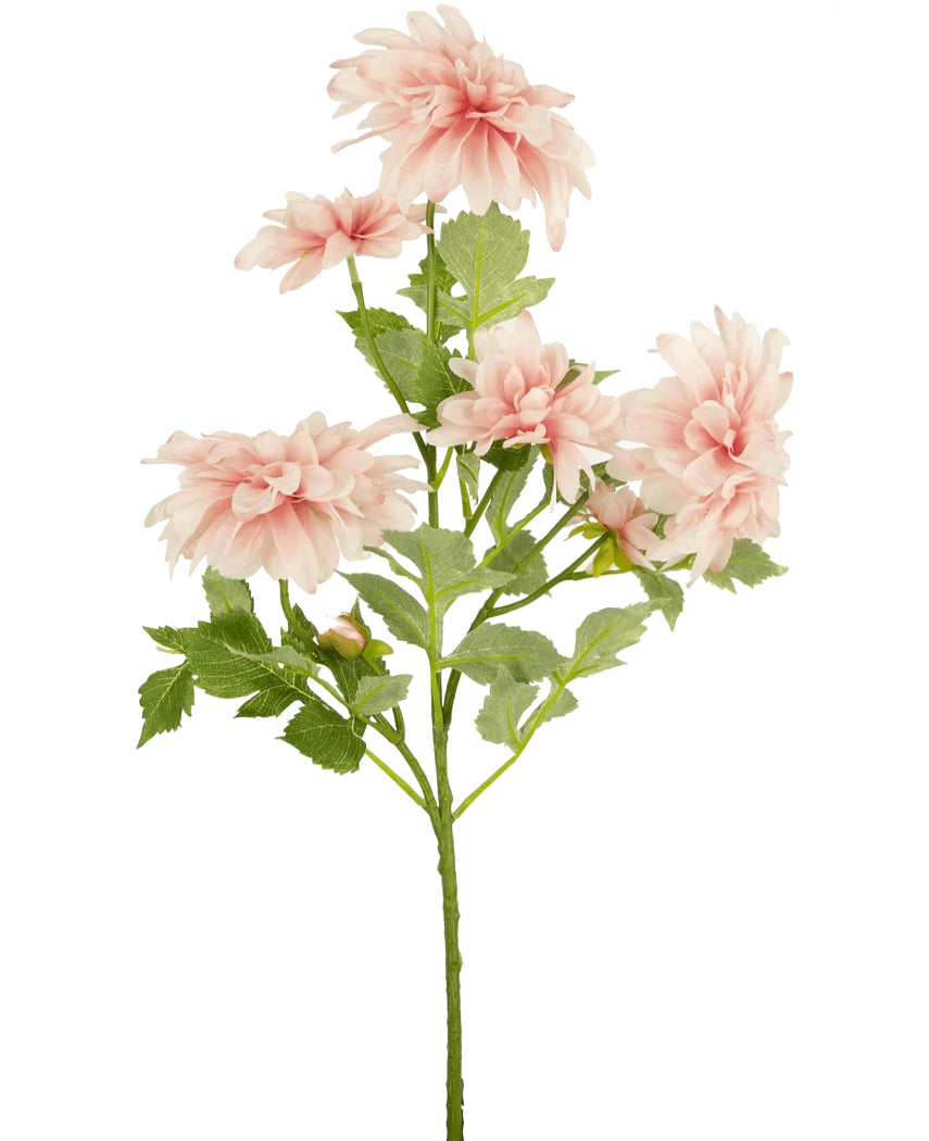 La Fleur Artificielle Dahlia 68 cm rose possède une seule tige verte avec plusieurs fleurs de dahlia rose clair et des feuilles vertes, sur un fond uni blanc.
