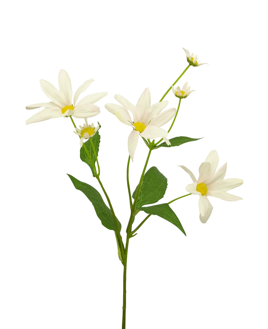 La Fleur Artificielle Margriet 60 cm blanc/rose présente plusieurs fleurs blanches et roses ressemblant à des marguerites au cœur jaune, complétées par des feuilles et des bourgeons verts, sur un fond clair.