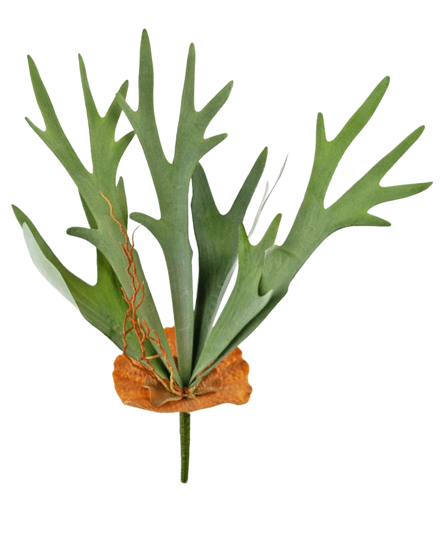 La plante artificielle Staghorn 53 cm a des feuilles vertes en forme de bois et une base marron en forme de bouclier, sur un fond blanc uni.
