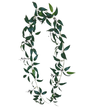 La Guirlande Artificielle Smilax 180 cm est une couronne en forme de lettre O, composée de longues branches feuillues vertes avec de petites grappes de baies foncées sur un fond uni blanc.