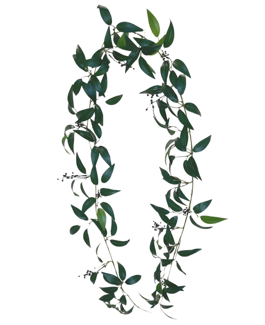 La Guirlande Artificielle Smilax 180 cm est une couronne en forme de lettre O, composée de longues branches feuillues vertes avec de petites grappes de baies foncées sur un fond uni blanc.