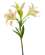 Une seule fleur artificielle de lys asiatique de 66 cm rose avec trois lys roses en fleurs et des feuilles vertes, isolées sur un fond blanc.
