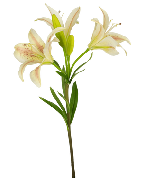 Une seule fleur artificielle de lys asiatique de 66 cm rose avec trois lys roses en fleurs et des feuilles vertes, isolées sur un fond blanc.