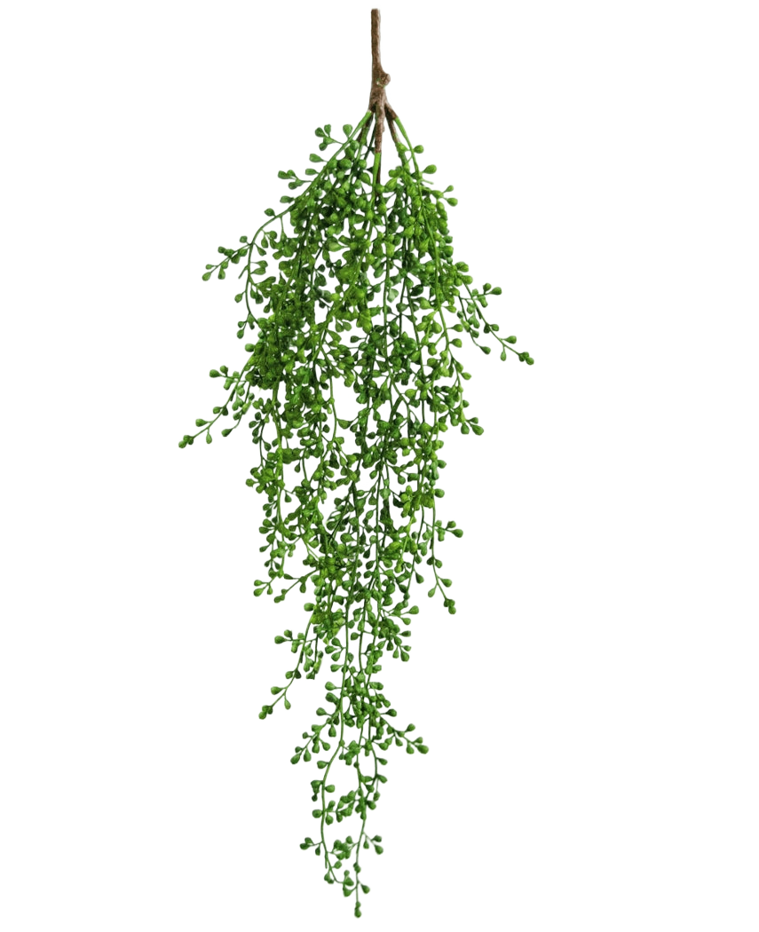 La plante artificielle suspendue Senecio 76 cm possède une seule branche de verdure artificielle avec de petites feuilles vertes en forme de grappe qui pendent élégamment vers le bas sur un fond blanc uni.