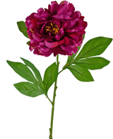La Fleur Artificielle Pivoine 77 cm violette est une pivoine violette artificielle simple avec des pétales superposés et des feuilles vertes sur une longue tige, sur un fond blanc uni.