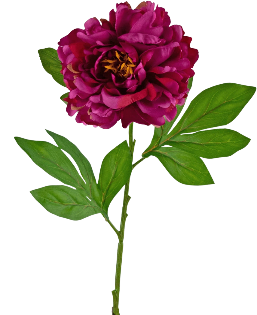La Fleur Artificielle Pivoine 77 cm violette est une pivoine violette artificielle simple avec des pétales superposés et des feuilles vertes sur une longue tige, sur un fond blanc uni.