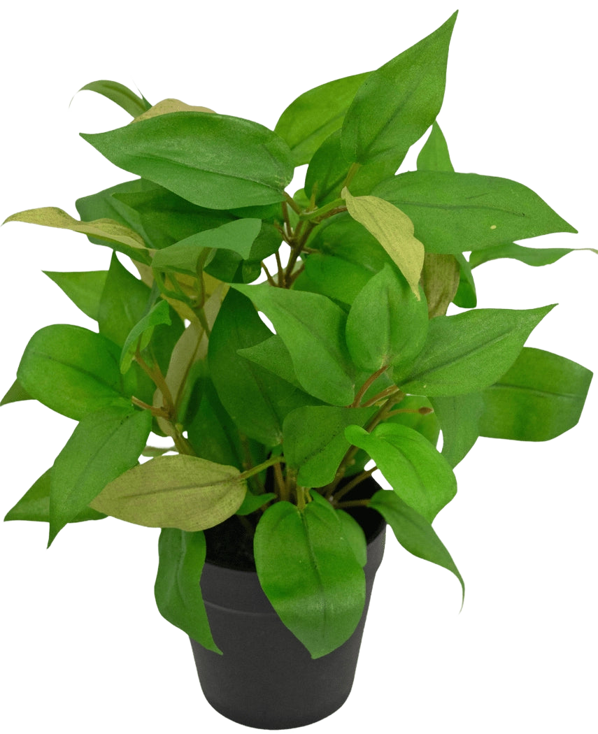 La plante artificielle "House Wanderer" en pot de 25 cm présente des feuilles vertes vibrantes dans un simple pot noir, sur un fond blanc uni.