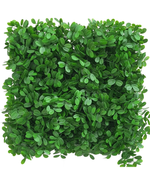 La haie artificielle Schefflera 50x50 cm UV présente une zone carrée dense de feuilles vertes artificielles, disposées pour créer une surface feuillue texturée sur un fond blanc.