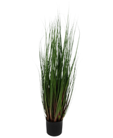 Le Gazon Artificiel Oignon 90 cm ignifuge est une graminée ornementale en pot aux longues et fines feuilles vertes teintées de rouge-violet à la base, sur un fond uni blanc.