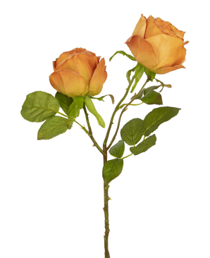 La Rose Artificielle Deluxe 55 cm pêche possède deux roses artificielles de couleur pêche sur une tige avec des feuilles vertes, idéales pour la décoration florale ou comme élégantes fleurs artificielles en soie.