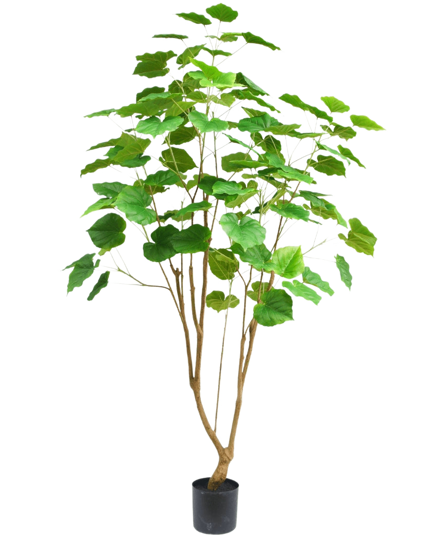 La plante artificielle Ficus 180 cm est une grande plante d'intérieur en pot avec plusieurs fines tiges brunes et de grandes feuilles vertes, représentées sur un fond blanc uni.