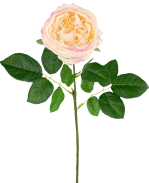 La rose de jardin artificielle "Anniken" Real Touch pêche (72 cm) est une rose pêche artificielle réaliste avec des pétales rose tendre et des feuilles vertes luxuriantes sur une longue tige, magnifiquement exposées sur un fond blanc.