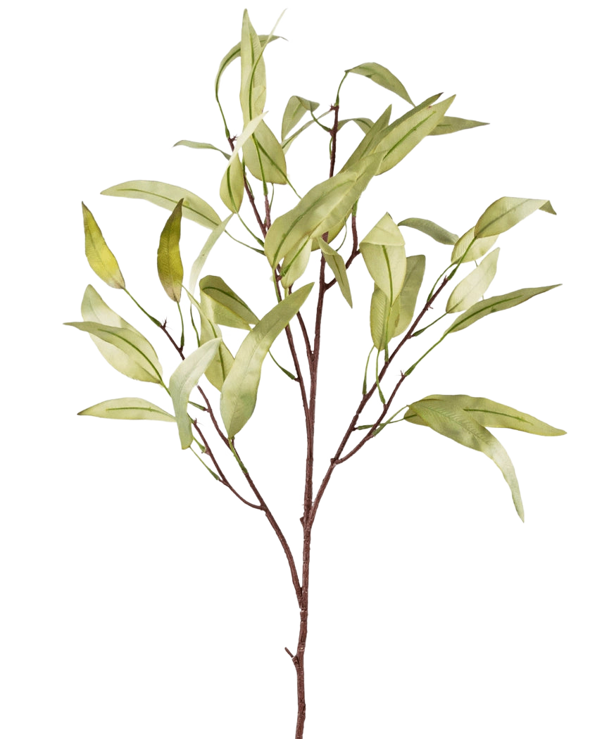 La Branche Artificielle Eucalyptus Niphophila 108 cm vert possède un seul tronc brun avec plusieurs branches fines, chacune décorée de feuilles allongées vert clair, sur un fond uni blanc.