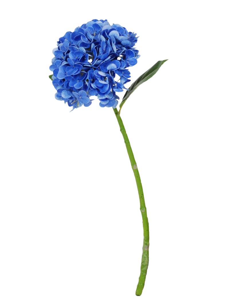 La Fleur Artificielle Hortensia Charlotte Real Touch bleu foncé est un hortensia artificiel bleu unique avec tige et feuilles vertes, de 55 cm de haut, isolé sur fond blanc.