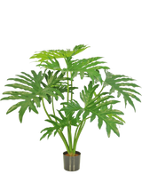 La Plante Artificielle Philodendron 80 cm est une plante artificielle avec de grandes feuilles vertes divisées dans un petit pot noir, représentée sur un fond blanc uni.