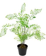 La Fougère Plante Artificielle 35 cm est une fougère artificielle avec des feuilles vert vif en forme d'éventail sur de fines tiges noires, sur un fond blanc uni.