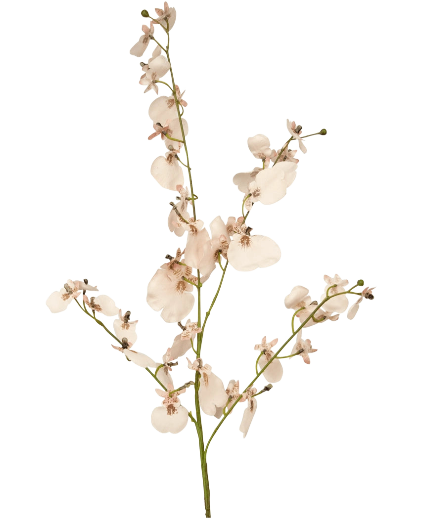 L'Orchidée Branche Artificielle 80 cm rose a une seule tige d'orchidées artificielles rose clair avec de multiples fleurs et petits bourgeons sur de fines branches vertes, sur un fond blanc simple.