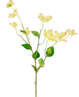 Le Cornouiller Artificiel Real Touch Jaune Clair 74 cm a une seule tige avec des feuilles vertes et plusieurs fleurs de cornouiller jaune clair avec des pétales à pointe rose, sur un fond blanc uni.