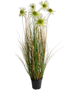Le Gazon Artificiel Chrysanthème Oignon Pot 90cm ignifuge est une plante artificielle en pot avec de longues feuilles vertes et brunes ressemblant à de l'herbe, surmontées de fleurs de marguerites blanches au cœur jaune.