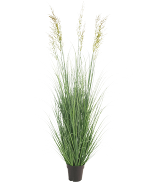 Le gazon artificiel blé 150 cm ignifuge est une plante haute sans entretien avec de fines feuilles vertes et des panaches dans un pot - idéale comme décoration de jardin, représentée sur un fond blanc uni.
