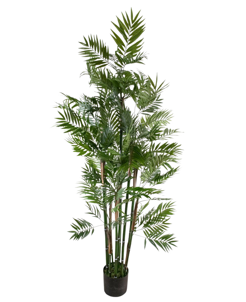 Le salon de plantes artificielles 180 cm est un grand palmier artificiel avec de multiples tiges fines et des feuilles vertes vibrantes dans un petit pot noir, sur fond blanc.