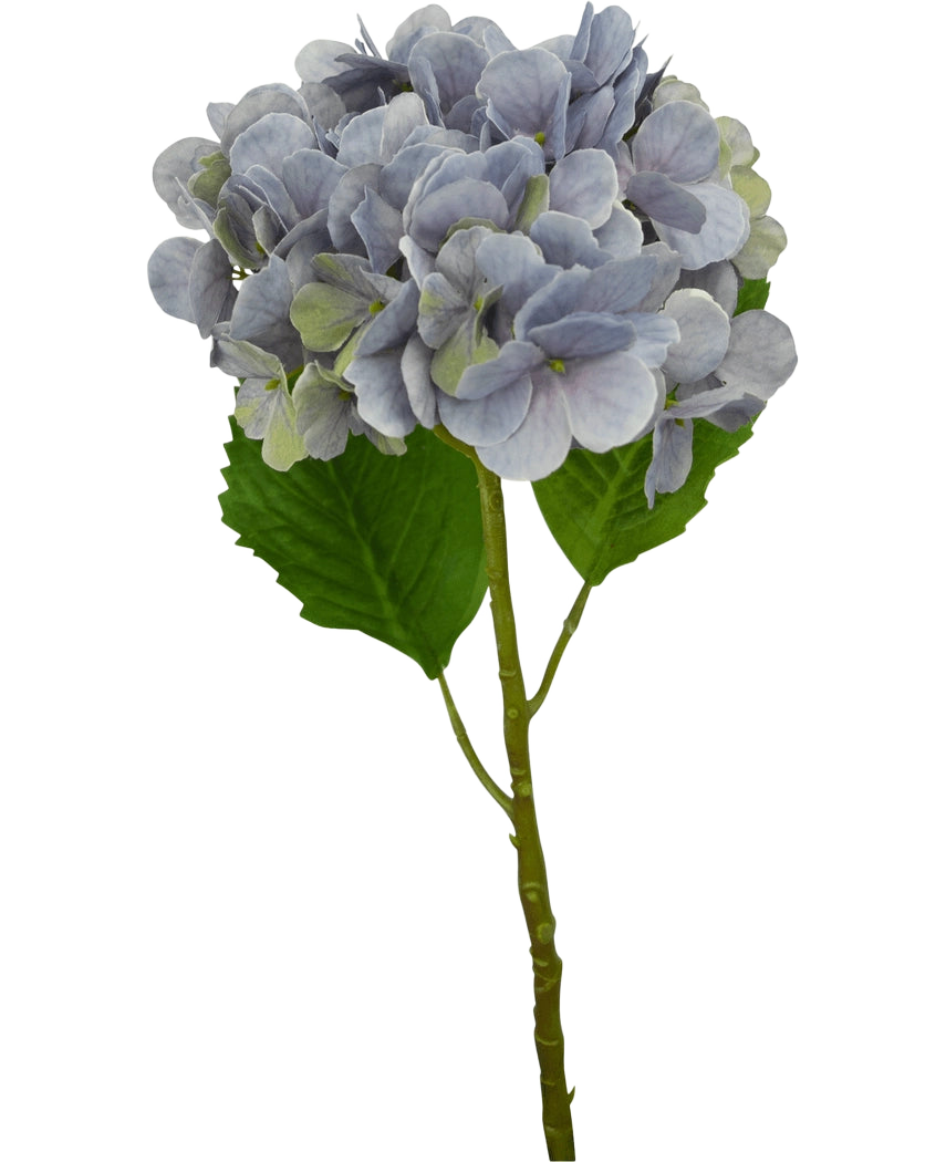 Une seule tige lilas d'hortensia artificiel Deluxe de 57 cm avec des pétales violet clair et deux grandes feuilles vertes, isolées sur un fond blanc.