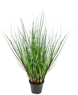 Le gazon artificiel oignon 50 cm ignifuge a de longues feuilles fines ressemblant à de l'herbe verte qui poussent verticalement et se courbent vers l'extérieur à partir du centre, présentées dans un pot en plastique noir sur fond blanc.