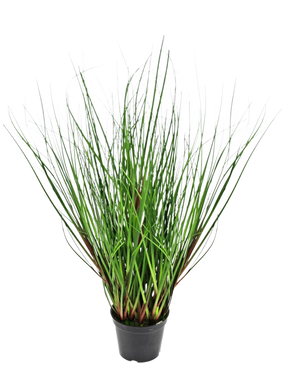 Le gazon artificiel oignon 50 cm ignifuge a de longues feuilles fines ressemblant à de l'herbe verte qui poussent verticalement et se courbent vers l'extérieur à partir du centre, présentées dans un pot en plastique noir sur fond blanc.