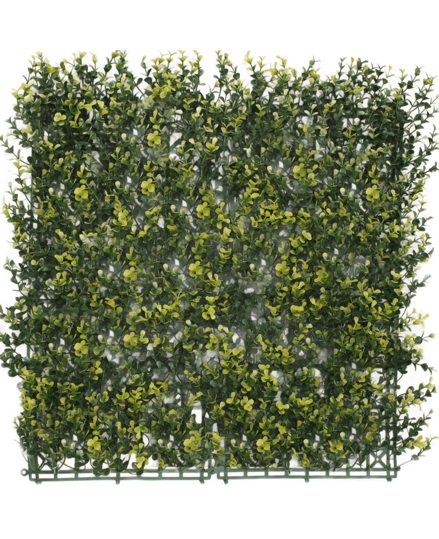 La Haie Artificielle Buis Jaune 50x50 cm UV est un panneau carré de feuillage vert artificiel dense aux feuilles jaunes, conçu pour ressembler à une haie ou un mur de jardin, sur un fond uni blanc.