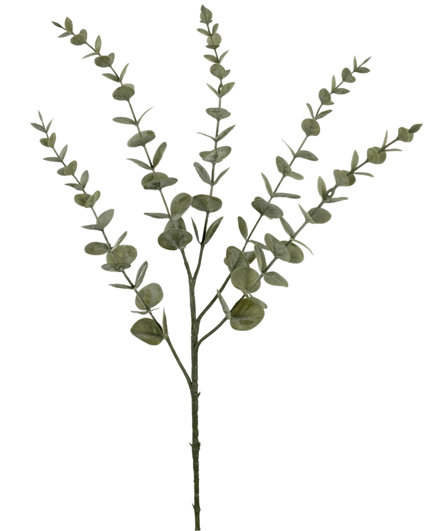 La fleur artificielle Eucalyptus Yugali 71 cm est une tige artificielle unique avec cinq branches ramifiées et de petites feuilles vertes rondes, représentées isolées sur fond blanc.