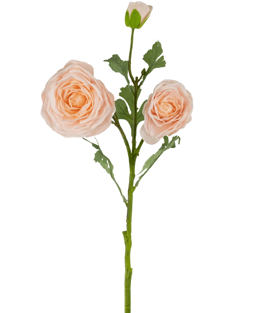La Rose Artificielle "Emine" Real Touch Peach 62 cm a une seule tige verte avec deux grandes roses artificielles couleur pêche clair en pleine floraison plus un bouton de rose, le tout sur un fond blanc uni.