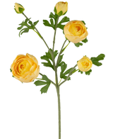 La Branche de Renoncule Artificielle x5 Real Touch jaune 62cm possède une seule tige verte avec de multiples renoncules et bourgeons jaunes, accentués par des feuilles vertes, sur fond blanc.
