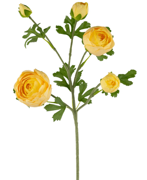 La Branche de Renoncule Artificielle x5 Real Touch jaune 62cm possède une seule tige verte avec de multiples renoncules et bourgeons jaunes, accentués par des feuilles vertes, sur fond blanc.