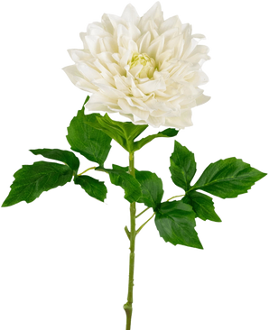 Un Kunst Georgine Real Touch blanc de 70 cm présente un dahlia blanc unique et réaliste avec des pétales superposés et des feuilles vertes dentelées sur une longue tige, sur un fond blanc uni.