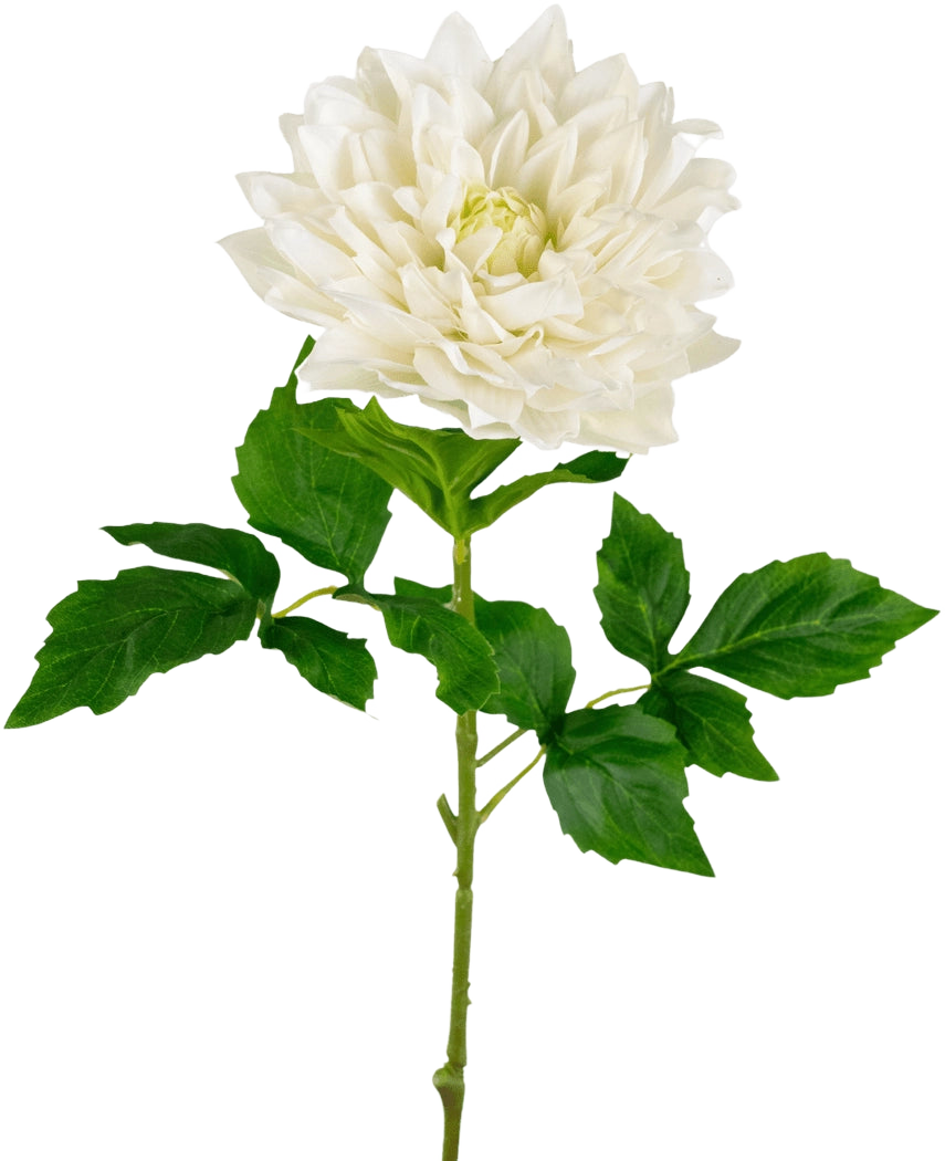 Un Kunst Georgine Real Touch blanc de 70 cm présente un dahlia blanc unique et réaliste avec des pétales superposés et des feuilles vertes dentelées sur une longue tige, sur un fond blanc uni.