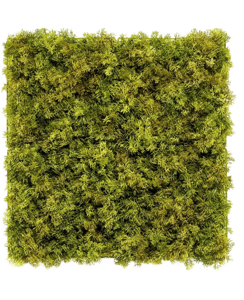 La Haie Artificielle Nordic Moss 50x50 cm UV est un panneau carré densément recouvert de mousse verte luxuriante sur fond blanc, créant un aspect texturé et naturel parfait pour les intérieurs chics.