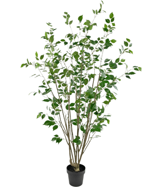 La Plante Artificielle Ficus 180 cm est un grand arbre artificiel en pot avec plusieurs troncs bruns élancés et des feuilles vertes denses sur un fond blanc uni.