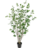 La Plante Artificielle Ficus 180 cm est un grand arbre artificiel en pot avec plusieurs troncs bruns élancés et des feuilles vertes denses sur un fond blanc uni.